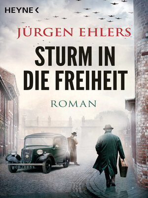 cover image of Sturm in die Freiheit